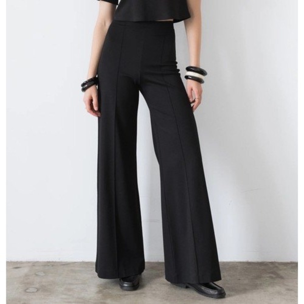 Ripley Rader Los Angeles Black Wide Leg Pintuck Trousers Pants Small Size 2